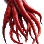 Genetic Engineering Kindle eBook Severed Press Adventure Multi‑Device-0